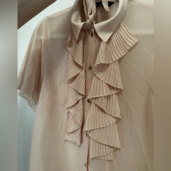 Sheer Pink Zara Blouse - Picture 5 of 7